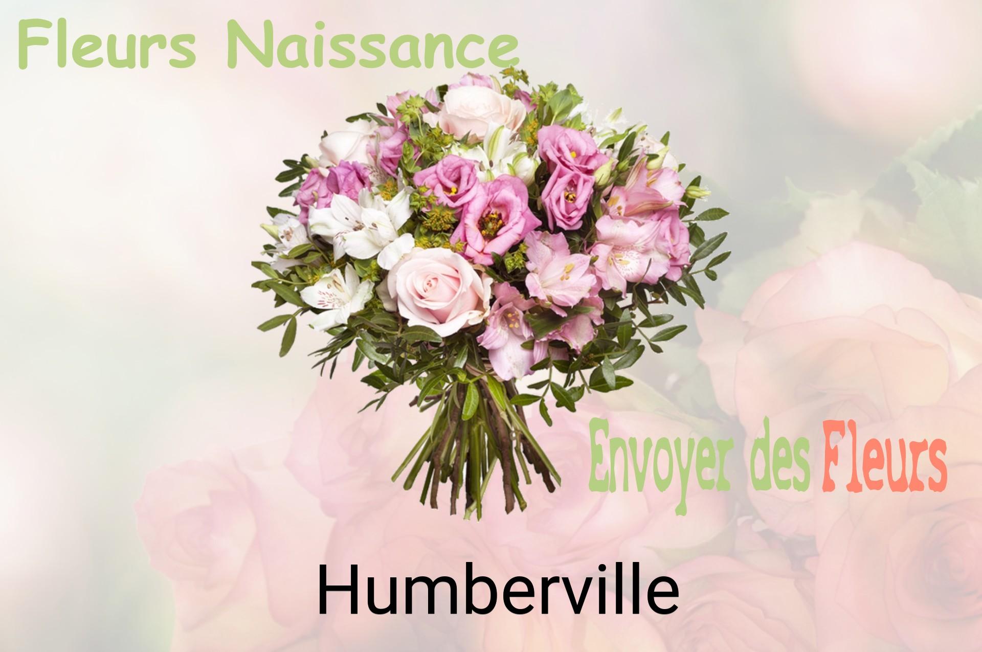 Bouquet de fleurs de naissance livré à Humberville